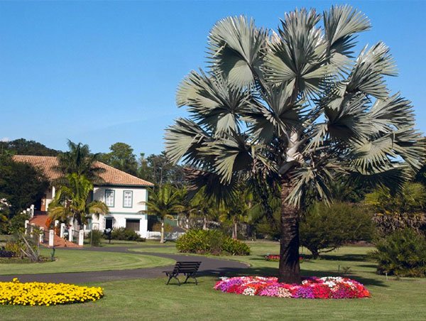 Jardim Botânico Plantarum 03