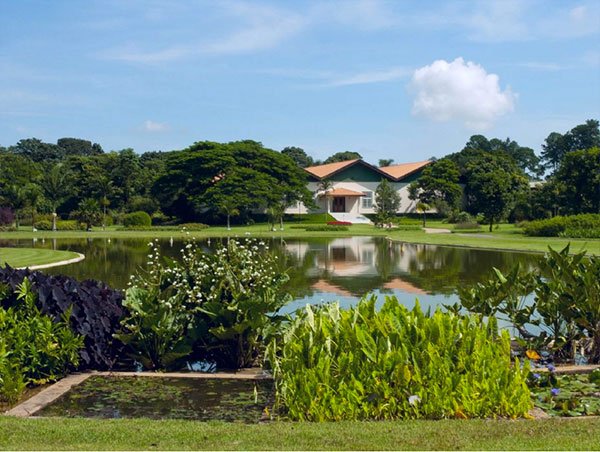 Jardim Botânico Plantarum 04