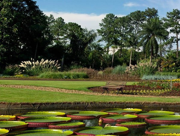 Jardim Botânico Plantarum 07
