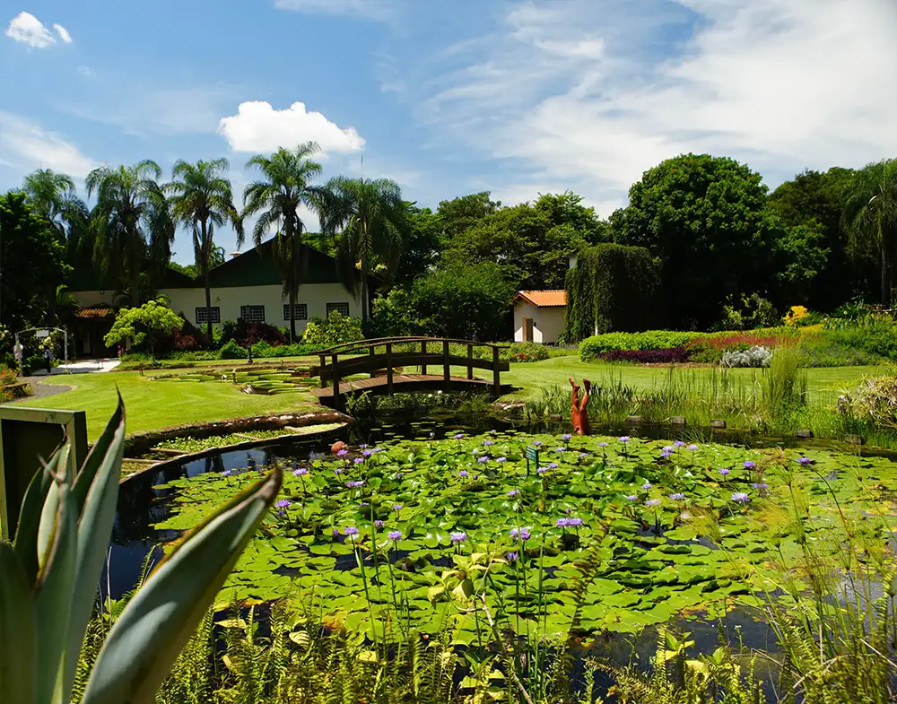 Visita Autonoma - 06 copiar