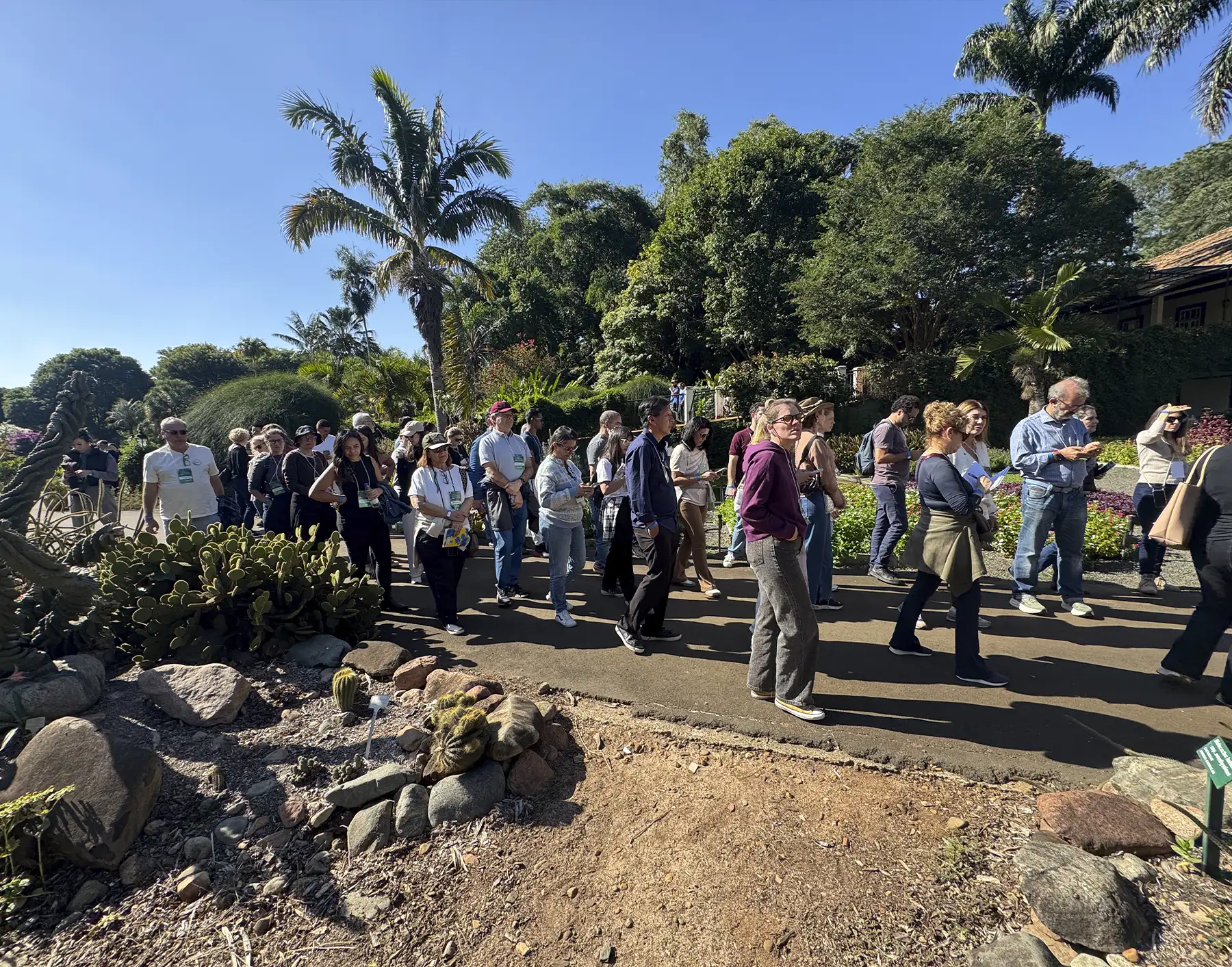 composicao-de-plantas-sidnei-harada-ibrap-02