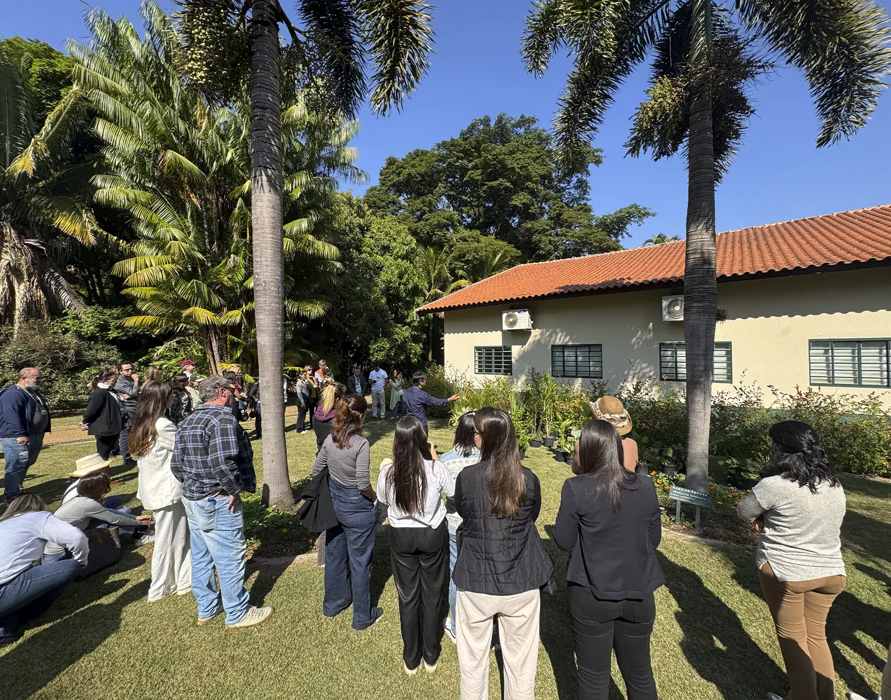 composicao-de-plantas-sidnei-harada-ibrap-03