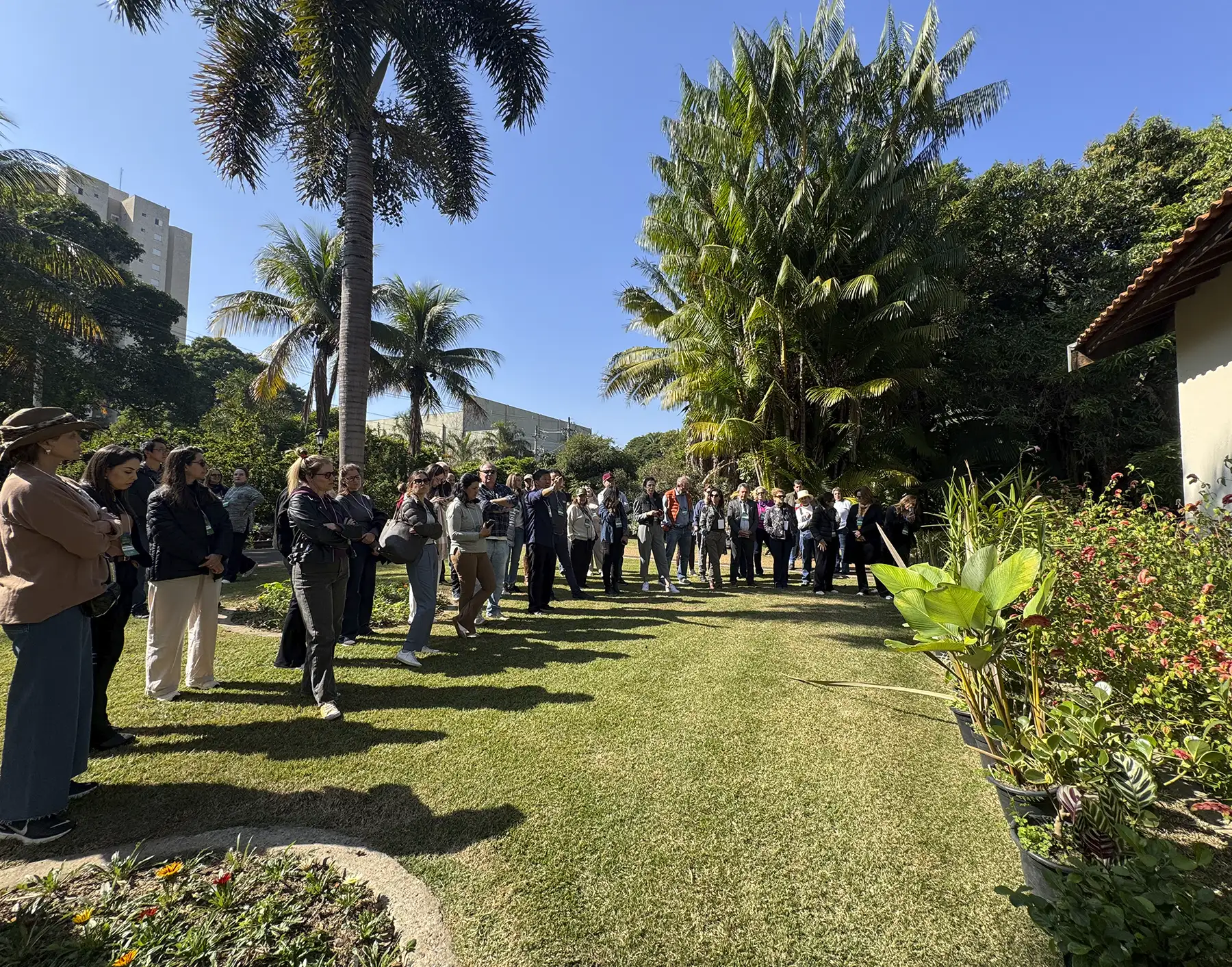 composicao-de-plantas-sidnei-harada-ibrap-05