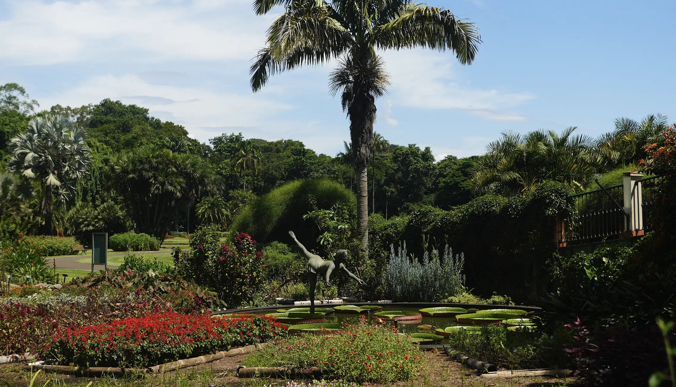 plantarum-nova-odessa-02