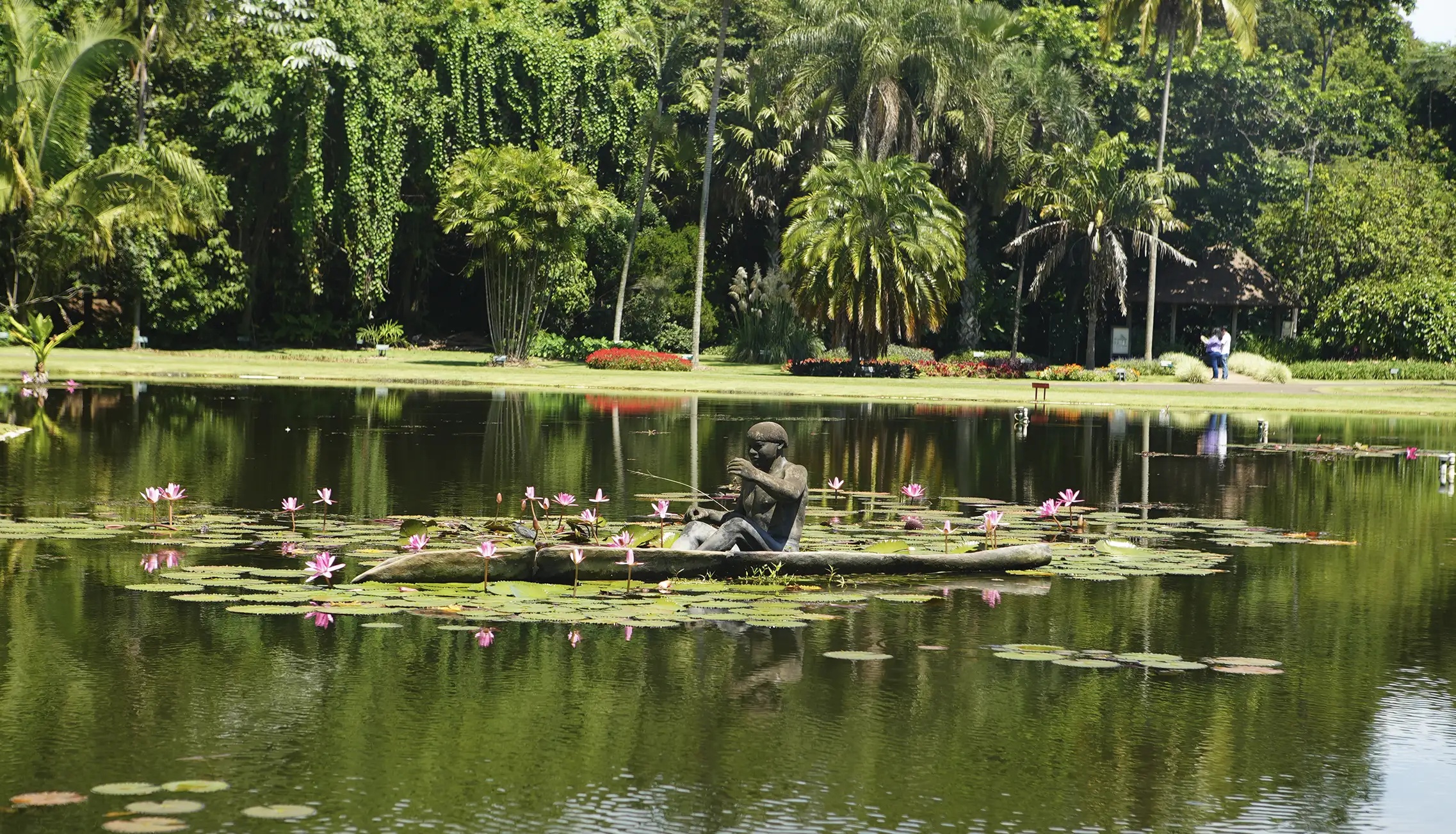 plantarum-nova-odessa-03