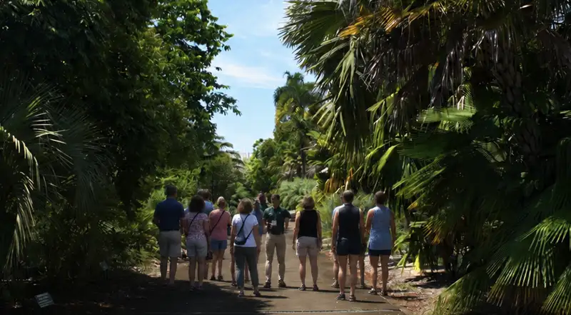 Visita Guiada Turística